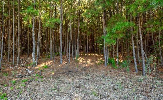 55 Ac  Vellines Lane, Isle of Wight County, VA 23314