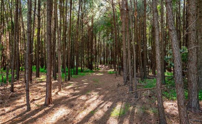 55 Ac  Vellines Lane, Isle of Wight County, VA 23314
