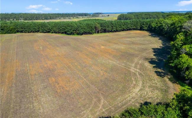 55 Ac  Vellines Lane, Isle of Wight County, VA 23314