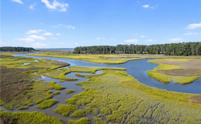 55 Ac  Vellines Lane, Isle of Wight County, VA 23314