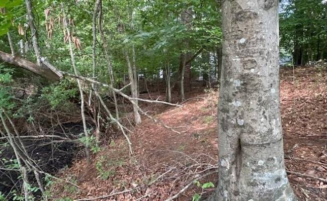 158 Highwood Circle, Newport News, VA 23608