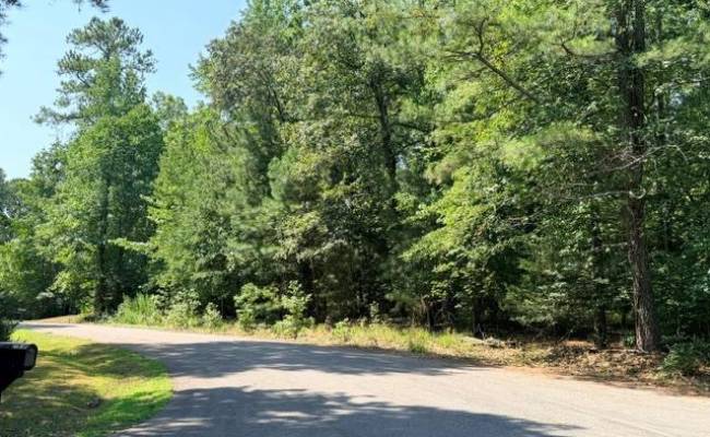 Lot 19 Grantier Circle, Sussex County, VA 23888