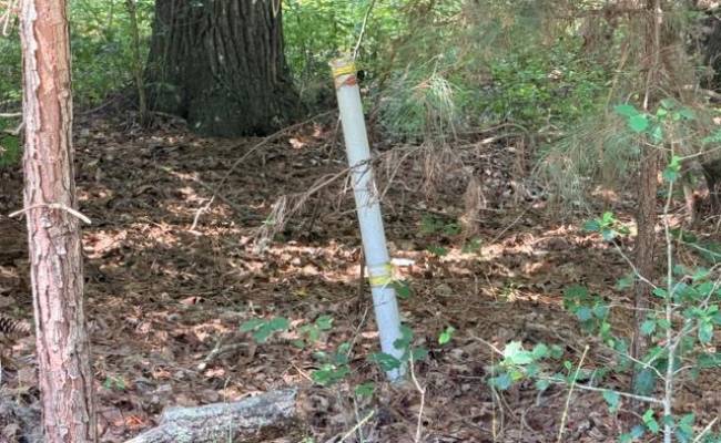 Lot 19 Grantier Circle, Sussex County, VA 23888