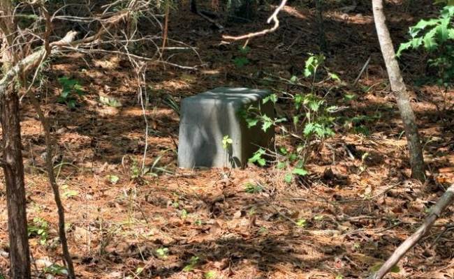 Lot 19 Grantier Circle, Sussex County, VA 23888
