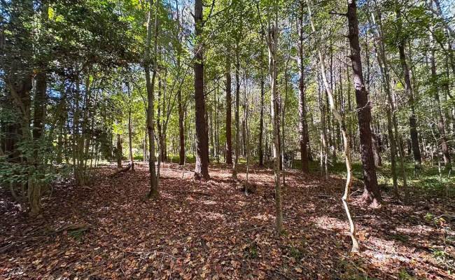 45.5 Acres Cypress Chapel Road, Suffolk, VA 23434