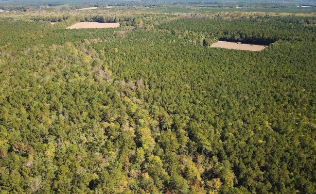 45.5 Acres Cypress Chapel Road, Suffolk, VA 23434