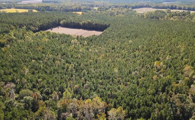 45.5 Acres Cypress Chapel Road, Suffolk, VA 23434