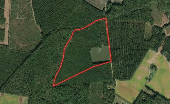 45.5 Acres Cypress Chapel Road, Suffolk, VA 23434