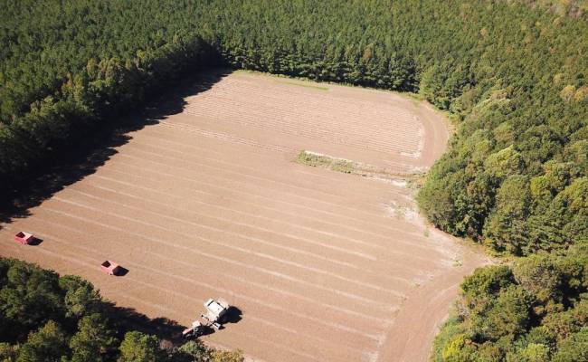 45.5 Acres Cypress Chapel Road, Suffolk, VA 23434