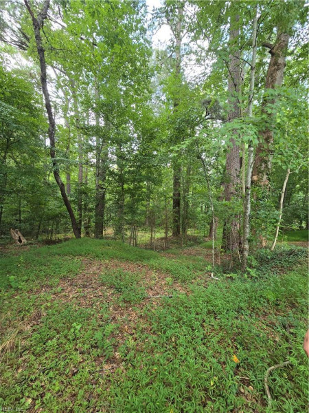 Photo 49 of 49 residential for sale in Isle of Wight County virginia