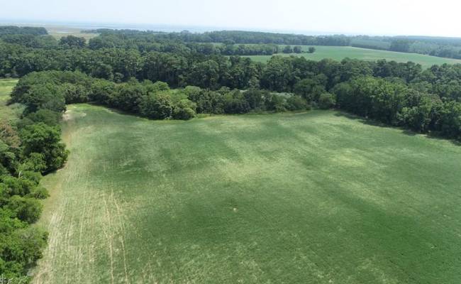 154 Metompkin Road, Accomack County, VA 23421