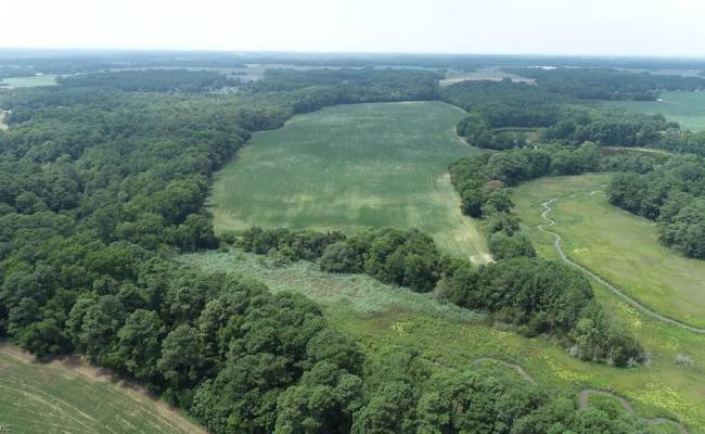154 Metompkin Road, Accomack County, VA 23421