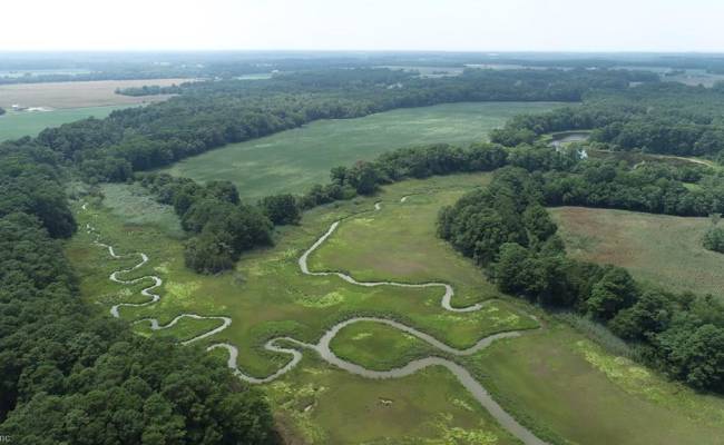 154 Metompkin Road, Accomack County, VA 23421