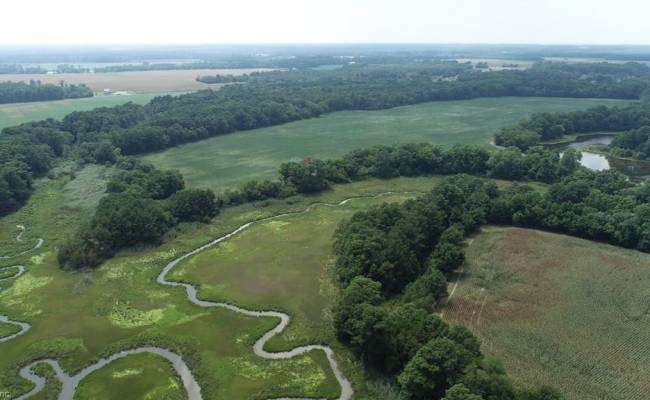 154 Metompkin Road, Accomack County, VA 23421