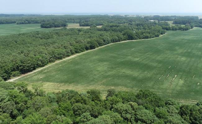 154 Metompkin Road, Accomack County, VA 23421