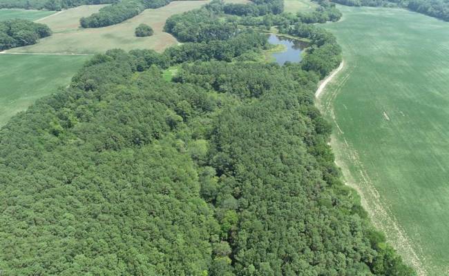 154 Metompkin Road, Accomack County, VA 23421