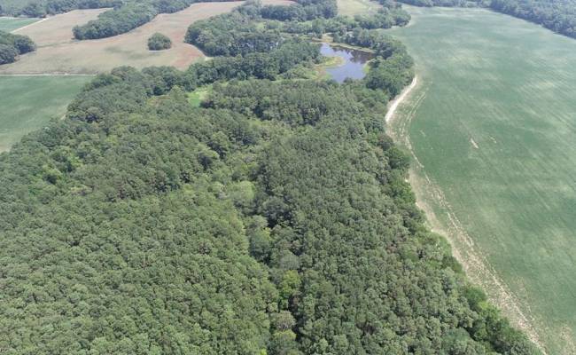 154 Metompkin Road, Accomack County, VA 23421