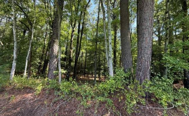 00 White Marsh Road, Surry County, VA 23846