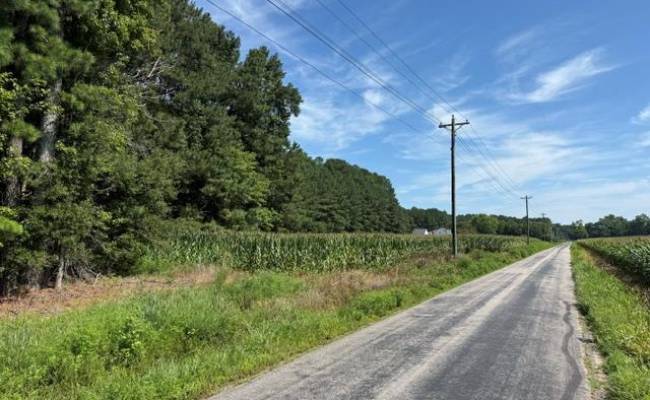 00 White Marsh Road, Surry County, VA 23846