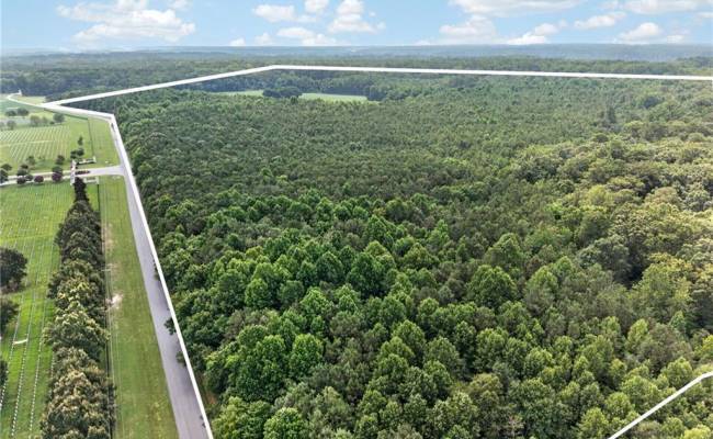 73.58 AC Milners Road, Suffolk, VA 23434