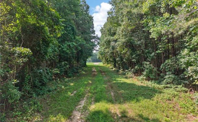 73.58 AC Milners Road, Suffolk, VA 23434