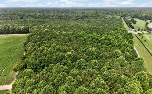 73.58 AC Milners Road, Suffolk, VA 23434