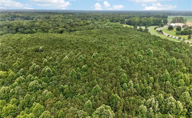 73.58 AC Milners Road, Suffolk, VA 23434