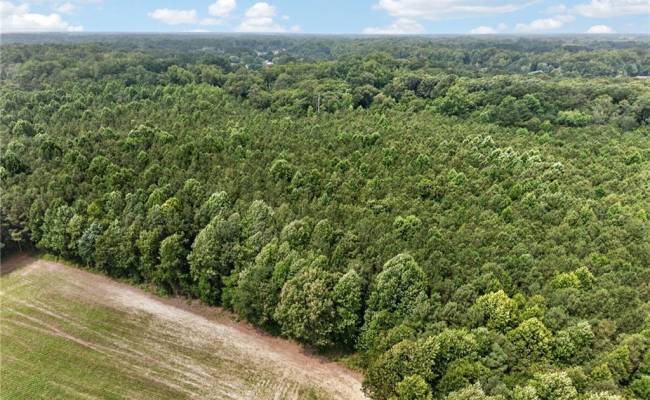 73.58 AC Milners Road, Suffolk, VA 23434