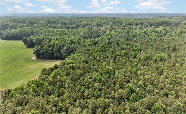 73.58 AC Milners Road, Suffolk, VA 23434