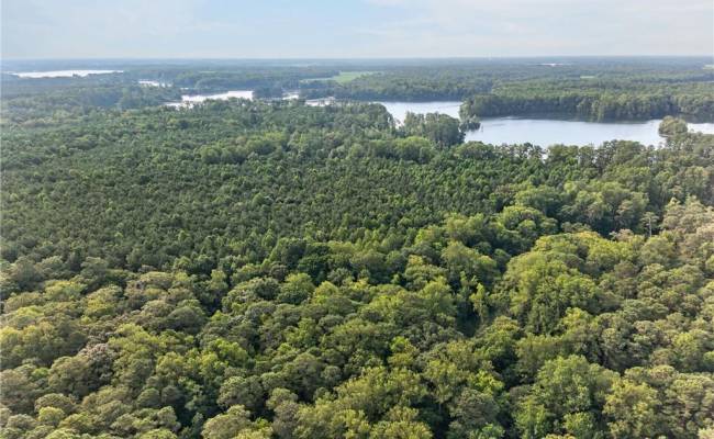73.58 AC Milners Road, Suffolk, VA 23434
