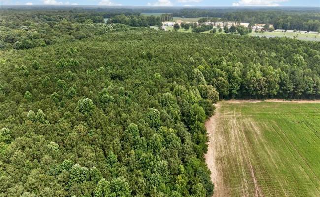 73.58 AC Milners Road, Suffolk, VA 23434