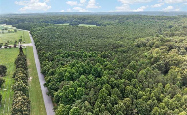 73.58 AC Milners Road, Suffolk, VA 23434