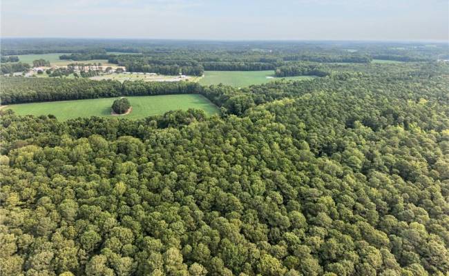 73.58 AC Milners Road, Suffolk, VA 23434