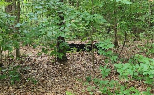 9225 Diascund Road, James City County, VA 23089