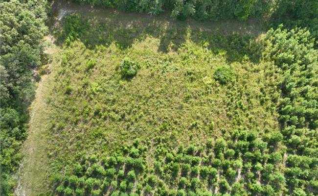 25.4 Courthouse Road, Sussex County, VA 23882