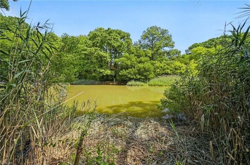 Photo 39 of 48 residential for sale in Norfolk virginia
