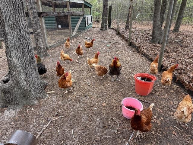 Photo 41 of 49 residential for sale in Isle of Wight County virginia