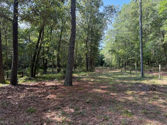 Photo 46 of 49 residential for sale in Isle of Wight County virginia