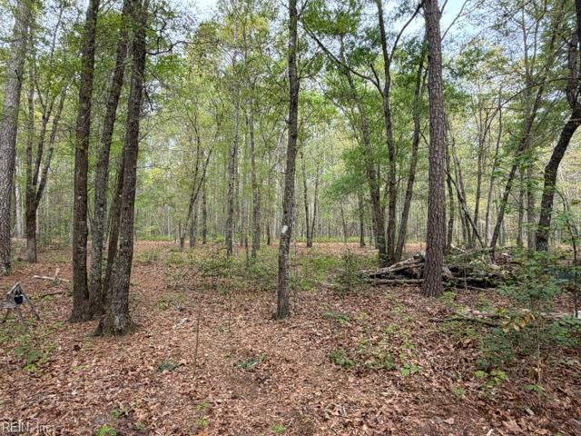 Photo 47 of 49 residential for sale in Isle of Wight County virginia