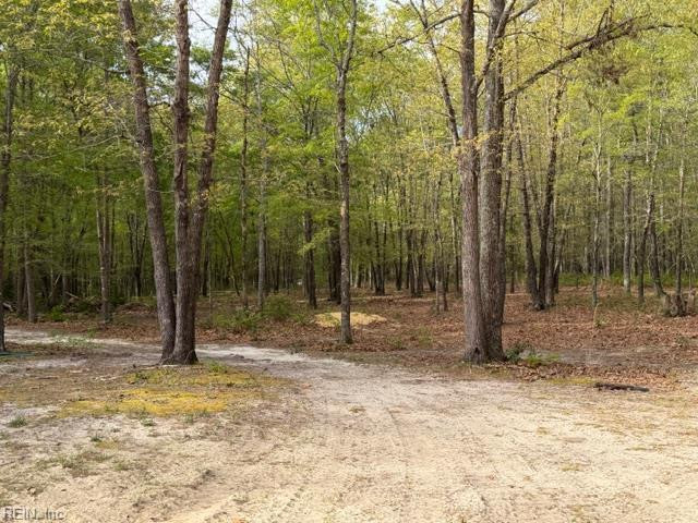 Photo 48 of 49 residential for sale in Isle of Wight County virginia