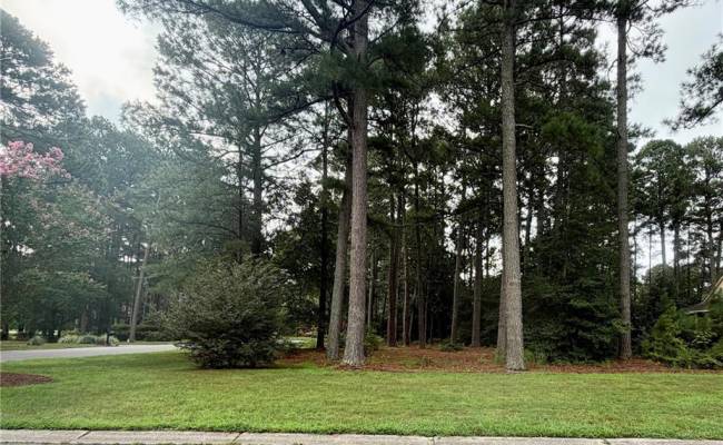 Lot 8 Pitchkettle Point Drive, Suffolk, VA 23434