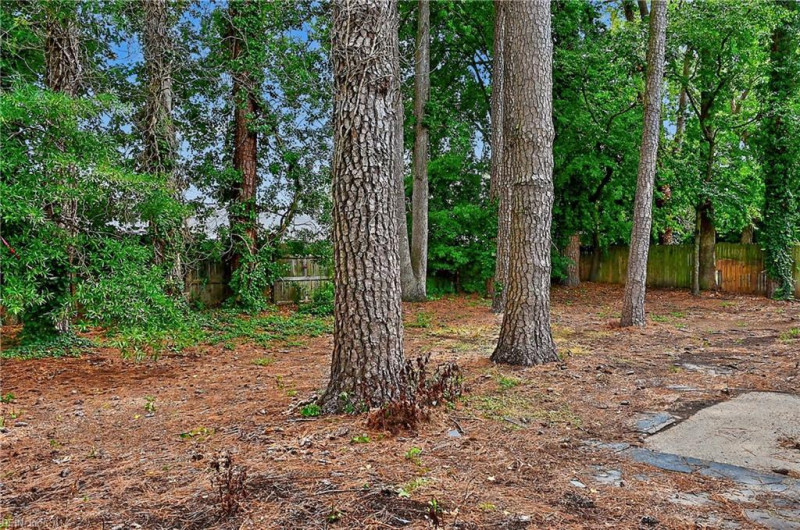 Photo 46 of 50 residential for sale in Virginia Beach virginia