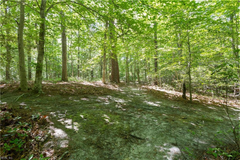Photo 47 of 50 residential for sale in Gloucester County virginia