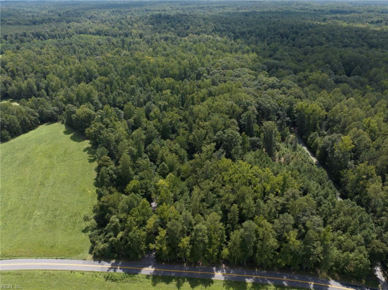 Photo 42 of 49 residential for sale in New Kent County virginia