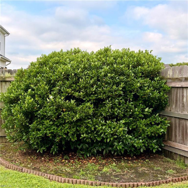 Photo 36 of 48 residential for sale in Chesapeake virginia Photo 36 of 48 residential for sale in Chesapeake virginia