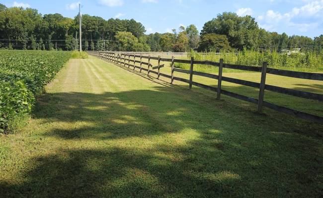 11.8 Acres Ballahack Road, Chesapeake, VA 23322