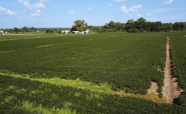 11.8 Acres Ballahack Road, Chesapeake, VA 23322