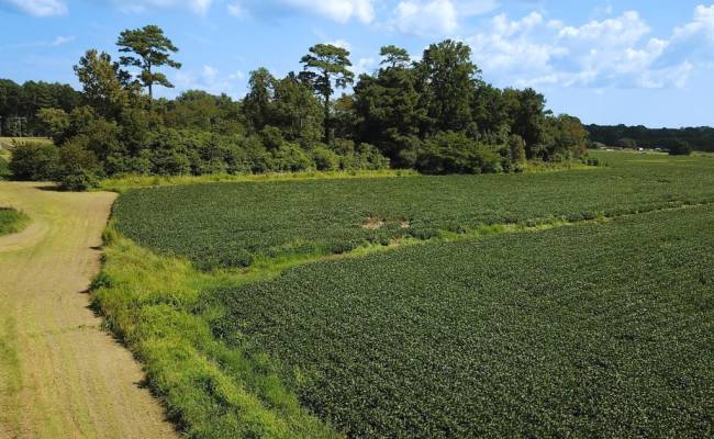 11.8 Acres Ballahack Road, Chesapeake, VA 23322