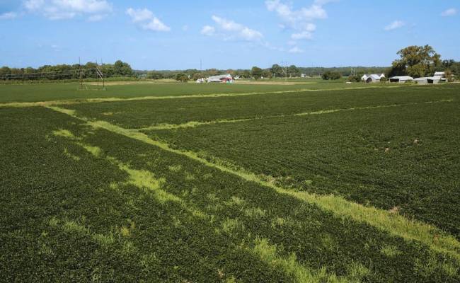 11.8 Acres Ballahack Road, Chesapeake, VA 23322
