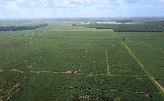11.8 Acres Ballahack Road, Chesapeake, VA 23322